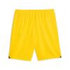 BVB Shorts Replica 23/24 Gelb Kinder