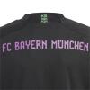 FC Bayern Trikot Away 23/24 Kinder