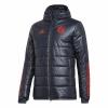 Adidas FC Bayern Winter Jacket
